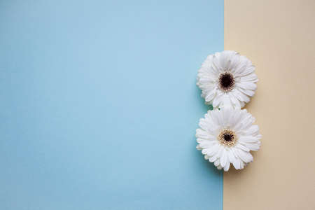 The international womens day on march background with flowers petal number.の写真素材