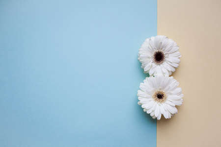 The international womens day on march background with flowers petal number.