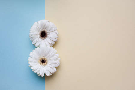 The international womens day on march background with flowers petal number.の写真素材