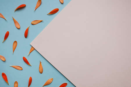 Red and orange leaves of gerber flowers pattern on light blue background lay flat top view.