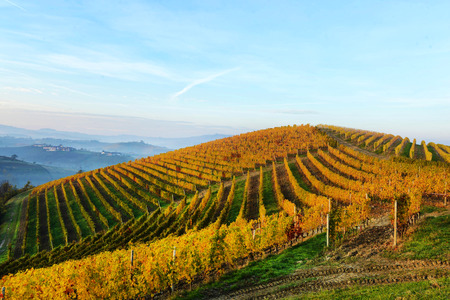 Langheの写真素材