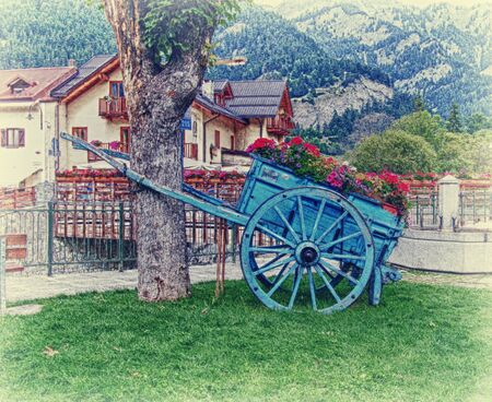 Flower Cart next to a treeの写真素材
