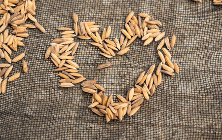 Unhulled rice grains are spread out on a dark-colored mesh surface, forming the shape of a heart.の写真素材
