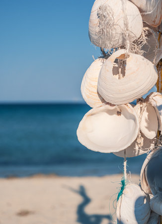 Seashell decoration hanging on beach with clear blue ocean in background during sunny dayの写真素材