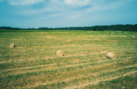A vast green field is dotted with round bales of hay, neatly arranged in rowsの写真素材