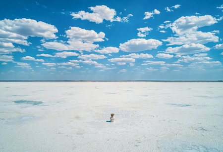 Baskunchak Lake reveals its vast salt flats glistening under the sun, surrounded by a blue sky dotted with white clouds.の写真素材