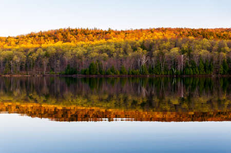 reflection of the trees in the lake at autumnの写真素材