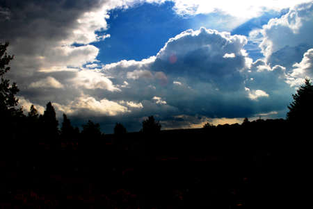 Sonnenuntergang in der Lï¿½neburger Heide Abend のeditorial素材