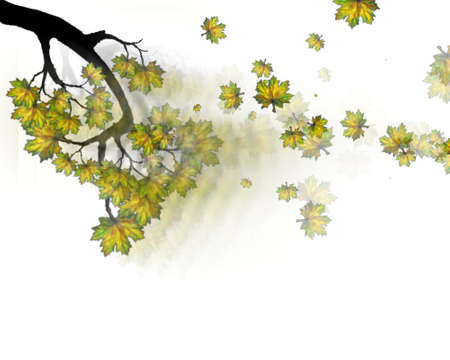 Autumn falling maple leaves background.のイラスト素材