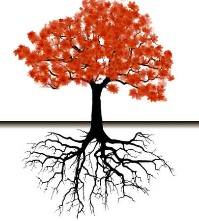 Vector - Tree silhouette backgroundのイラスト素材