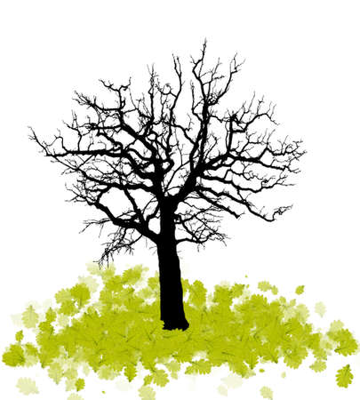 Silhouette of a tree with fallen leavesのイラスト素材