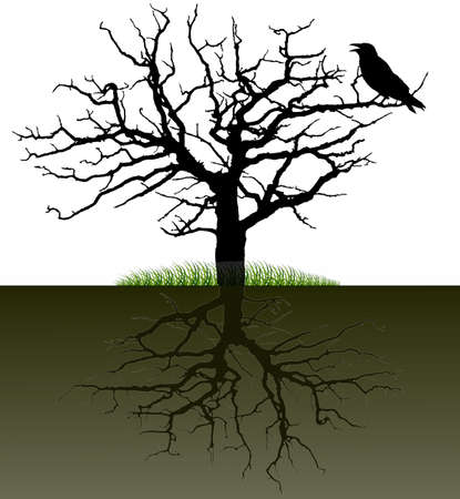 Vector-silhouette of a tree with the raven and the rootのイラスト素材