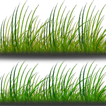 Vector - vector grass setのイラスト素材
