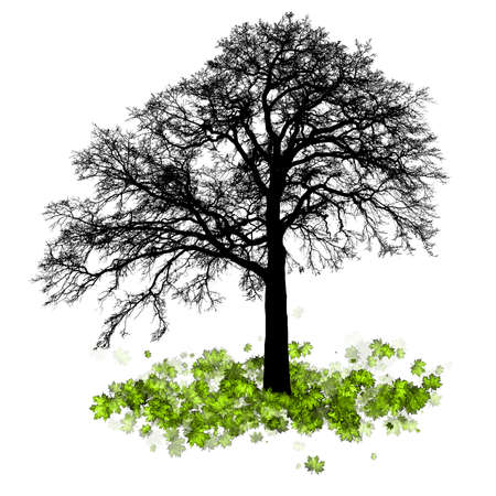 Vector - Maple tree, autumn leaf fallのイラスト素材