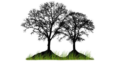 Vector tree silhouetteのイラスト素材