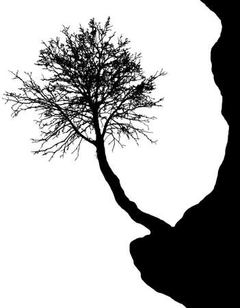 Silhouette of tree on the cliff - vectorのイラスト素材