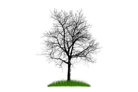 Silhouette of tree with green grass isolated on white backgroundのイラスト素材