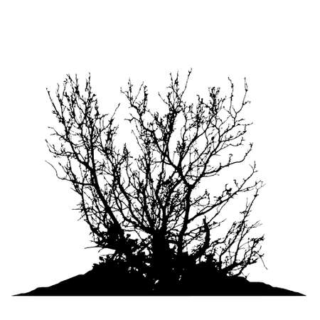 Realistic tree silhouette (Vector illustration) .Eps10のイラスト素材