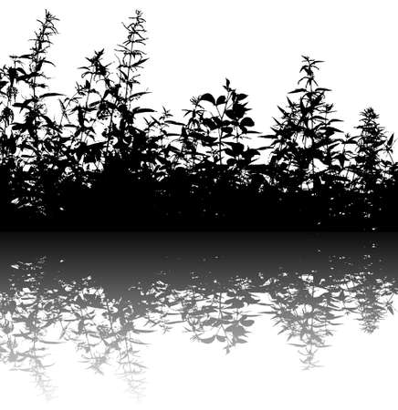 Realistic grass background with reflections in the water. Vector illustrationのイラスト素材