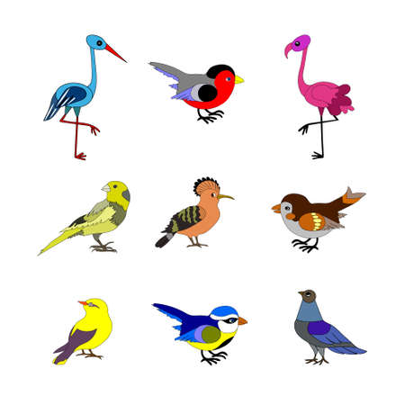 Birds. Vector collection of European birds, such as  dove, sparrow, flamingo, hoopoe, blue tit, white stork, bullfinch, canary, oriole in trendy flat style. Isolated on white.のイラスト素材