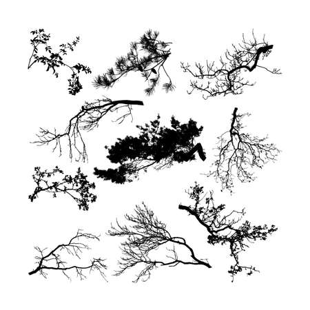 Set of natural tree branches silhouettes (vector illustration) eps10のイラスト素材