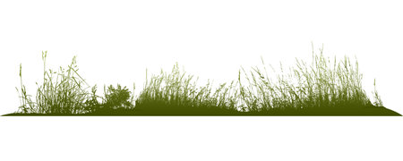 Natural grass silhouettes from nature Vector illustration.のイラスト素材