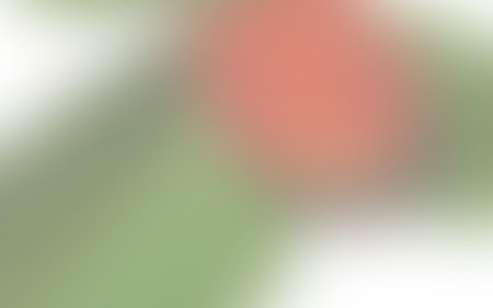 Abstract light overlay with colored highlights and blur, retro style, blurred texture, and highlights on an original background and color scheme.の写真素材