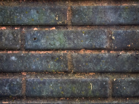 Orange bricks covered with lichenの写真素材