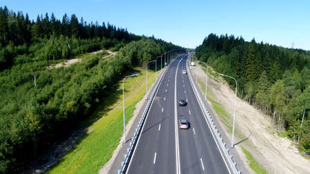 Forest road on a summer day at north in summerの写真素材