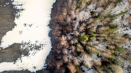 Aerial drone Photography of a Forest in Winter
