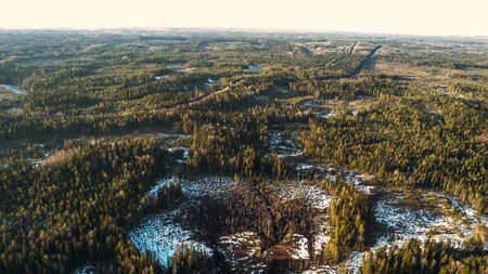Aerial view of old asphalt road in the spring forest. Snow melts on the side of the road and between the treesの写真素材
