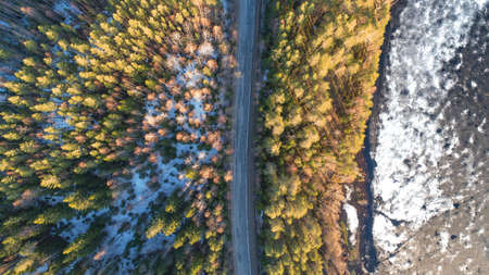 Drone view of spring rural road in yellow pine forest with melting ice lake with snow.の写真素材