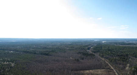 Autumn forest aerial drone viewの写真素材