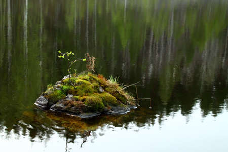 Stone with moss and leaves inside the river with reflectionsの写真素材