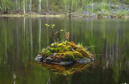 Stone with moss and leaves inside the river with reflectionsの写真素材
