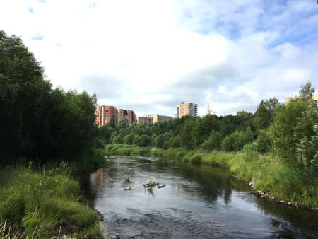 Small natural Lake green trees and bushesの写真素材