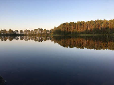 Perfect reflections on the lake in summer evening with warm colorsの写真素材