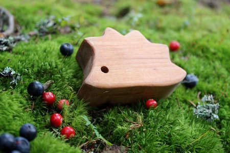 Fairy-tale wooden hedgehog toy on the wild moss and some berriesの写真素材