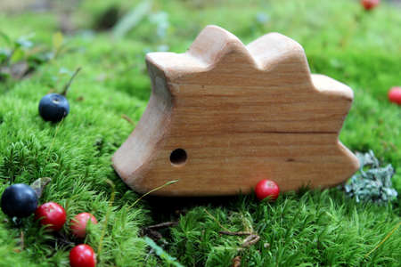 Fairy-tale wooden hedgehog toy on the wild moss and some berries in the forestの写真素材