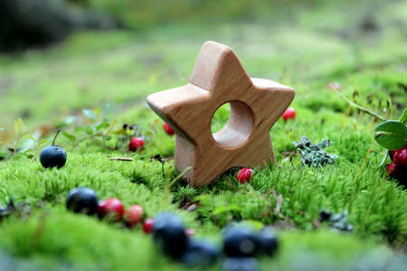 Fairy-tale wooden star toy on the wild moss and some berries in the forest.の写真素材