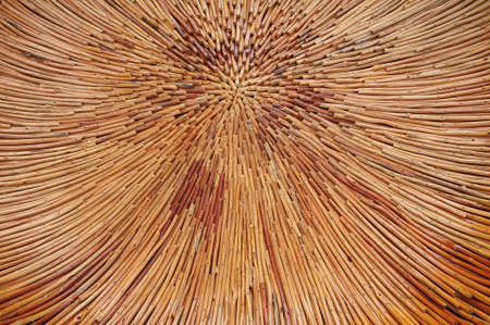 Wood Texture