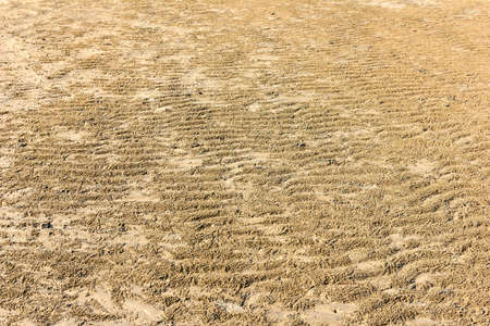 Sand wave beach brown summer background
