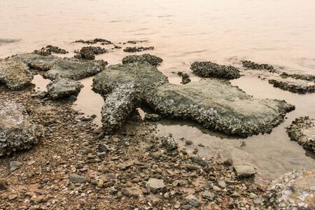 Coastal areas are filled with rock