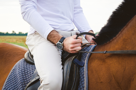 horseback riding horseback. Rider stroking his horse. at his hand watchの写真素材