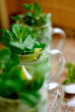 Mojito cocktail in a bur , selective focus. tasty drinkの写真素材