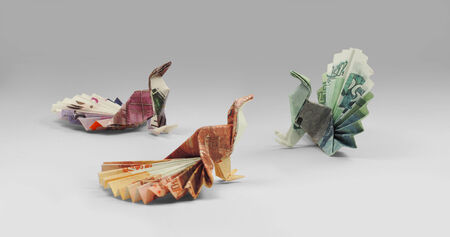 three bird origami banknotes walkingの写真素材