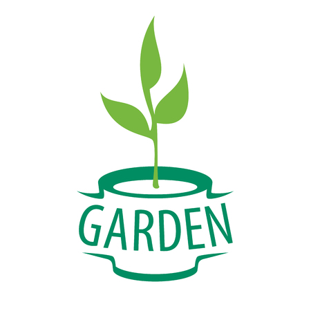 vector icon sapling in a pot for the gardenのイラスト素材