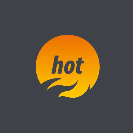 template fire. Vector illustration of a flameのイラスト素材