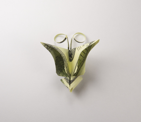 Origami butterfly made out of dollar billsの写真素材