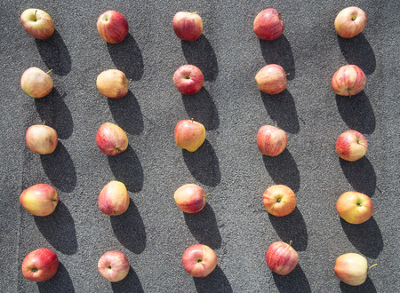a scattering of red apples on a background of asphalt